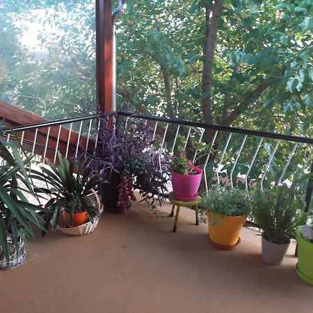 Apartmani Corleone Bilice Dış mekan fotoğraf