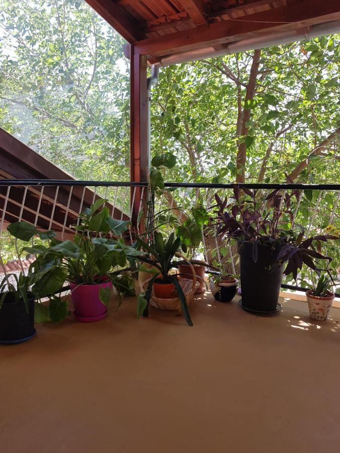 Apartmani Corleone Bilice Dış mekan fotoğraf