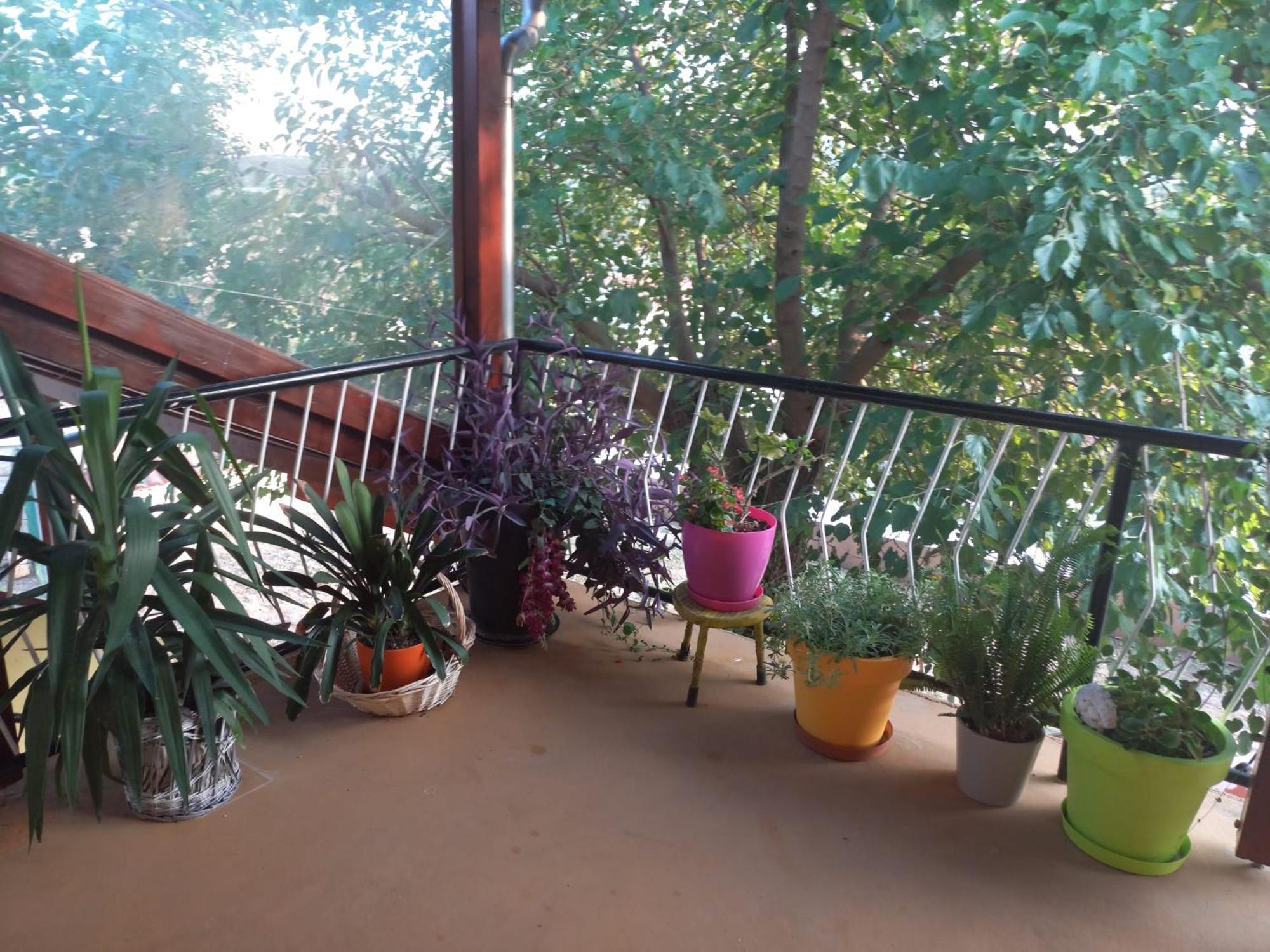 Apartmani Corleone Bilice Dış mekan fotoğraf